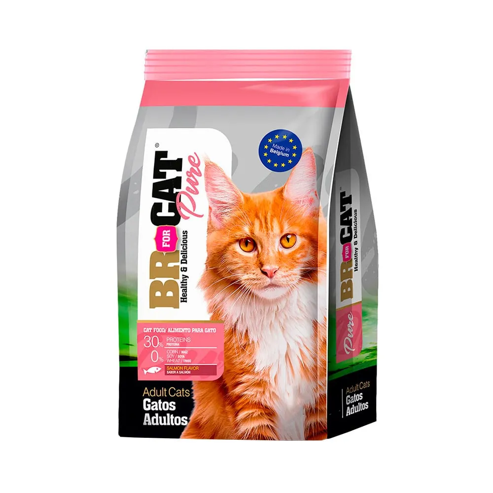BR FOR CAT PURE GATO SALMON (1 KG)