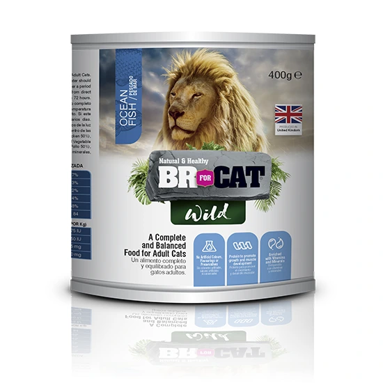 LATA BR FOR CAT WILD (Pescado)