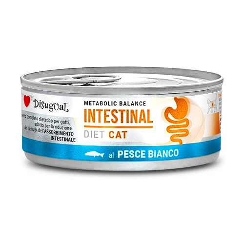 DISUGUAL GATO DIETA MEDICADA INTESTINAL LATA