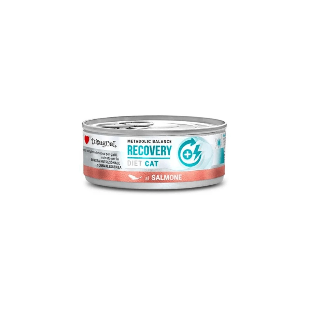 DISUGUAL GATO DIETA MEDICADA RECOVERY LATA