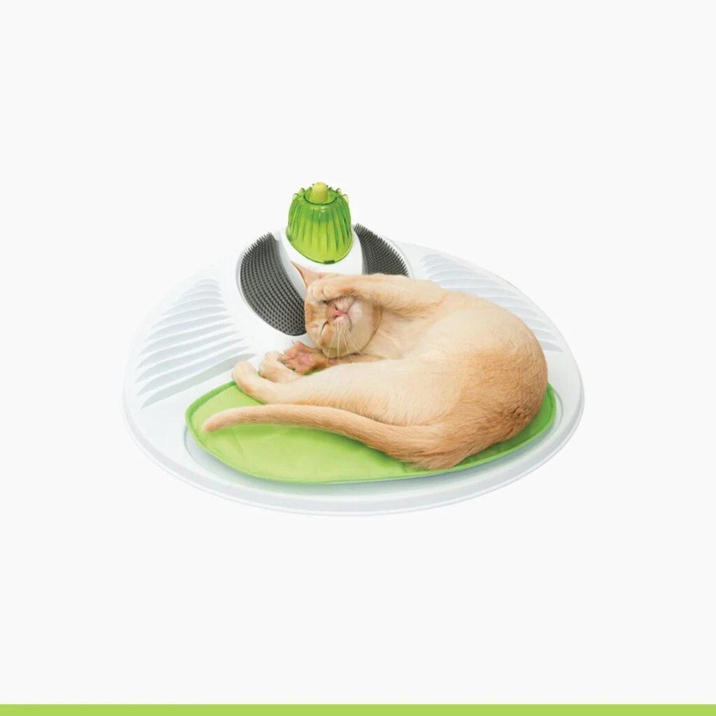 CATIT SENSES WELLNESS CENTER