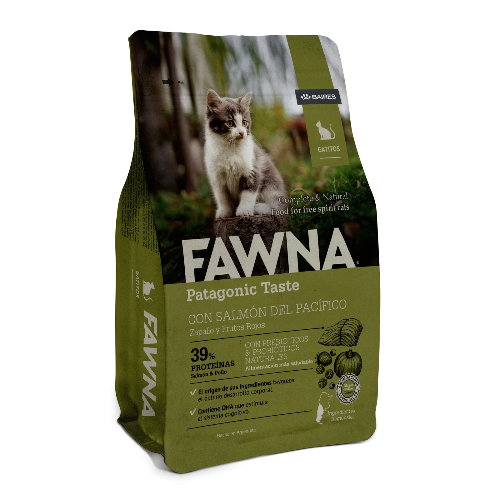 FAWNA SALMON GATOS KITTEN