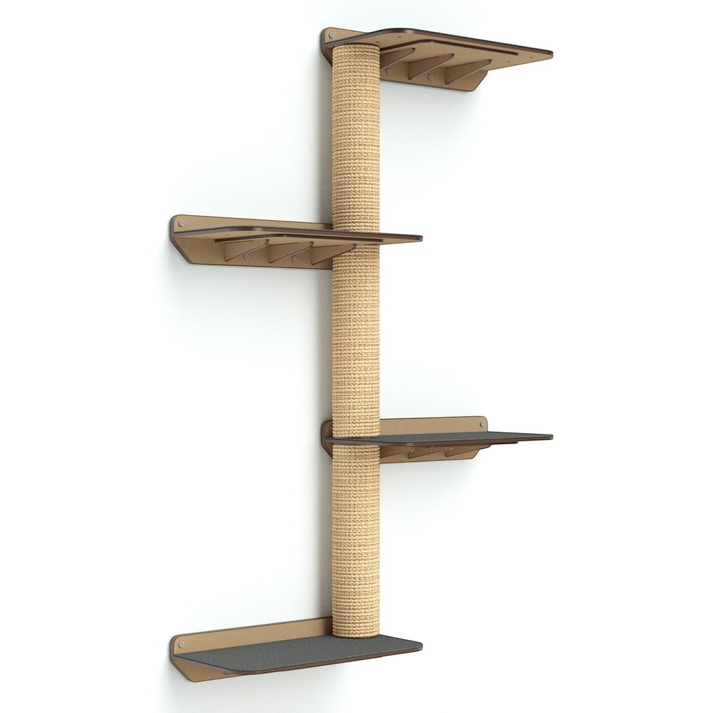 [Gat355] Gimnasio de Pared Combo F