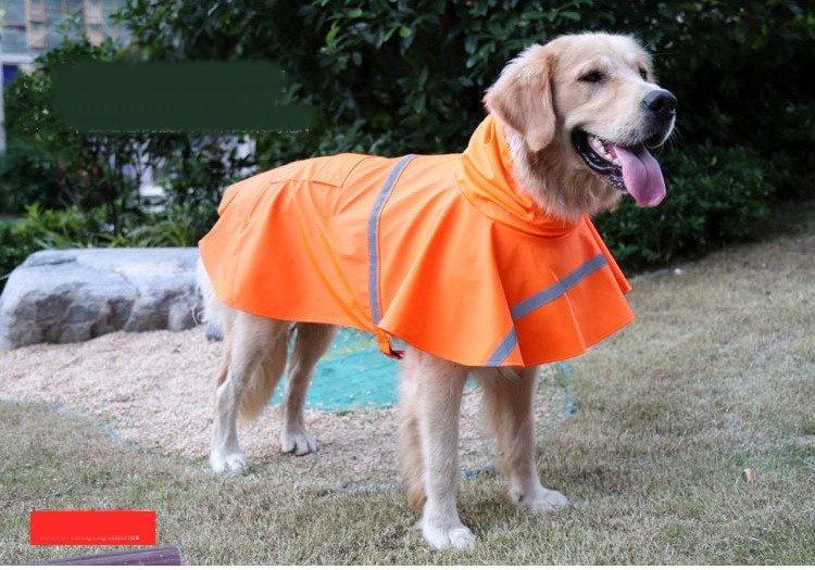 Chaqueta impermeable para perros